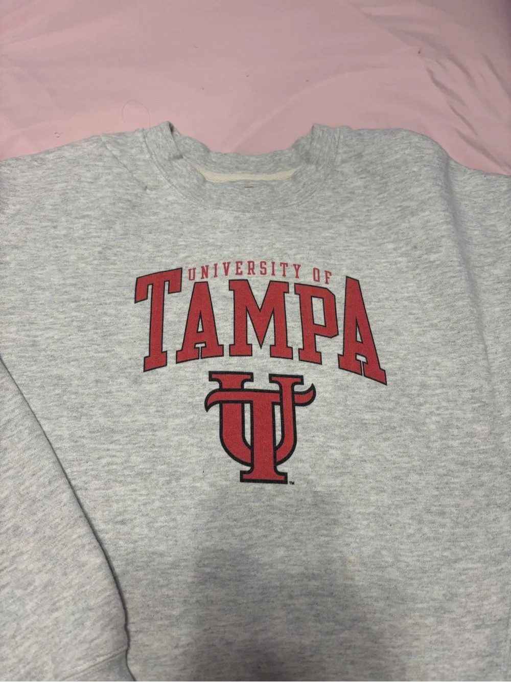 Gray Crewneck Sweatshirt with Red Logo